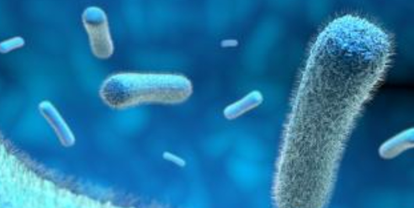 pathogens